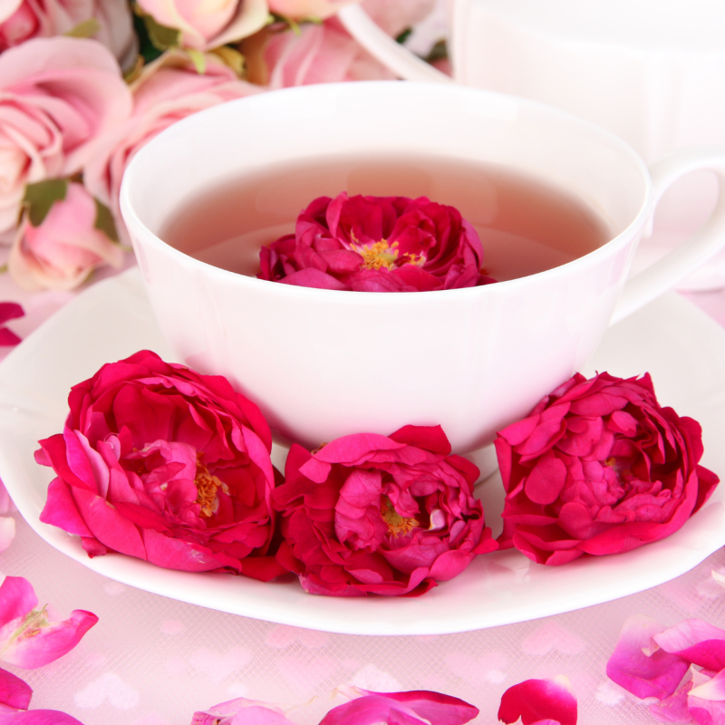 FLEURDELYS-FLEURISTESALONDETHE-FREJUS9 FLEURDELYS-FLEURISTESALONDETHE-FREJUS9